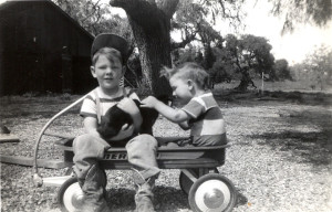 Scanned Image 120090054